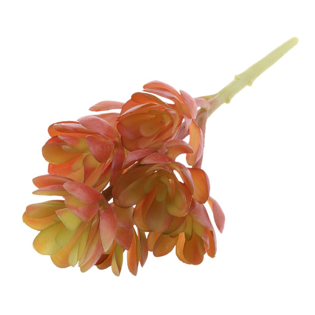 Echeveria Succulent - Plantes succulentes artificielles en plastique, Echeveria