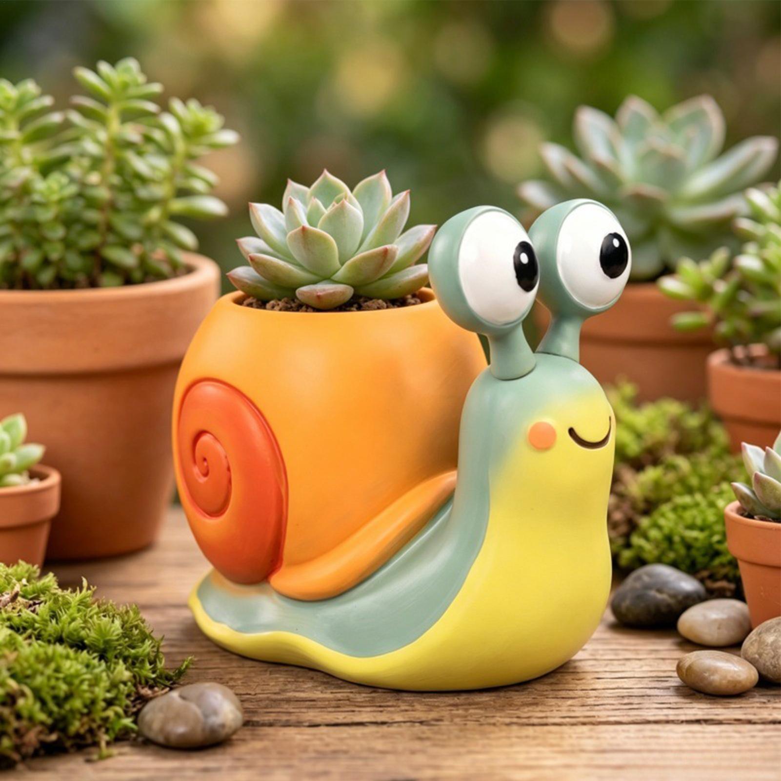 Pot de fleurs en forme d'escar - Echeveria Succulent avis et prix