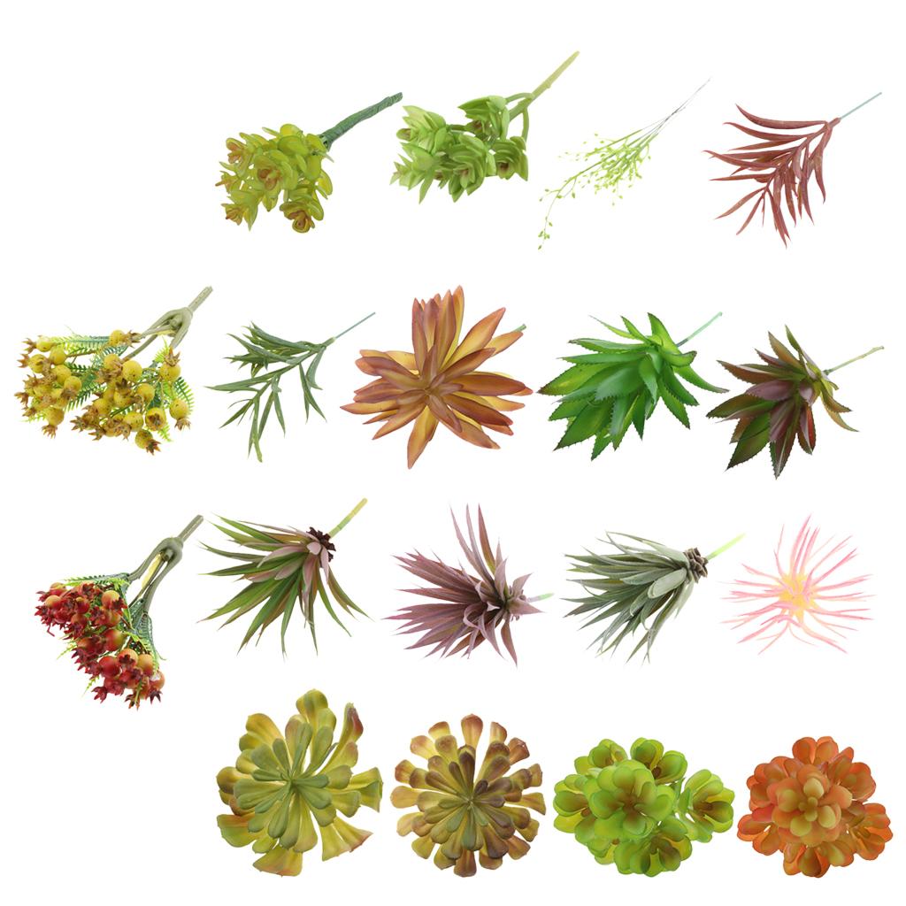 Plantes succulentes artificiel - Echeveria Succulent avis et prix