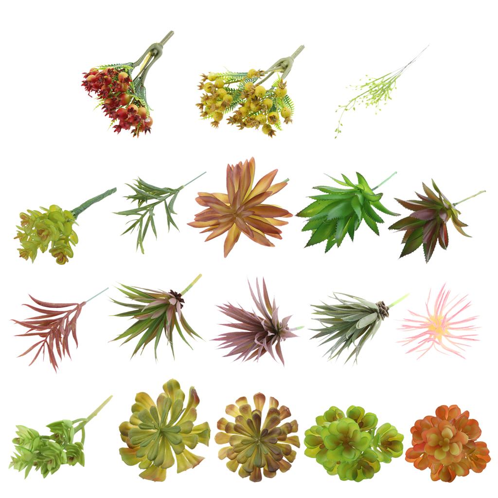 Plantes succulentes artificiel - Echeveria Succulent avis et prix