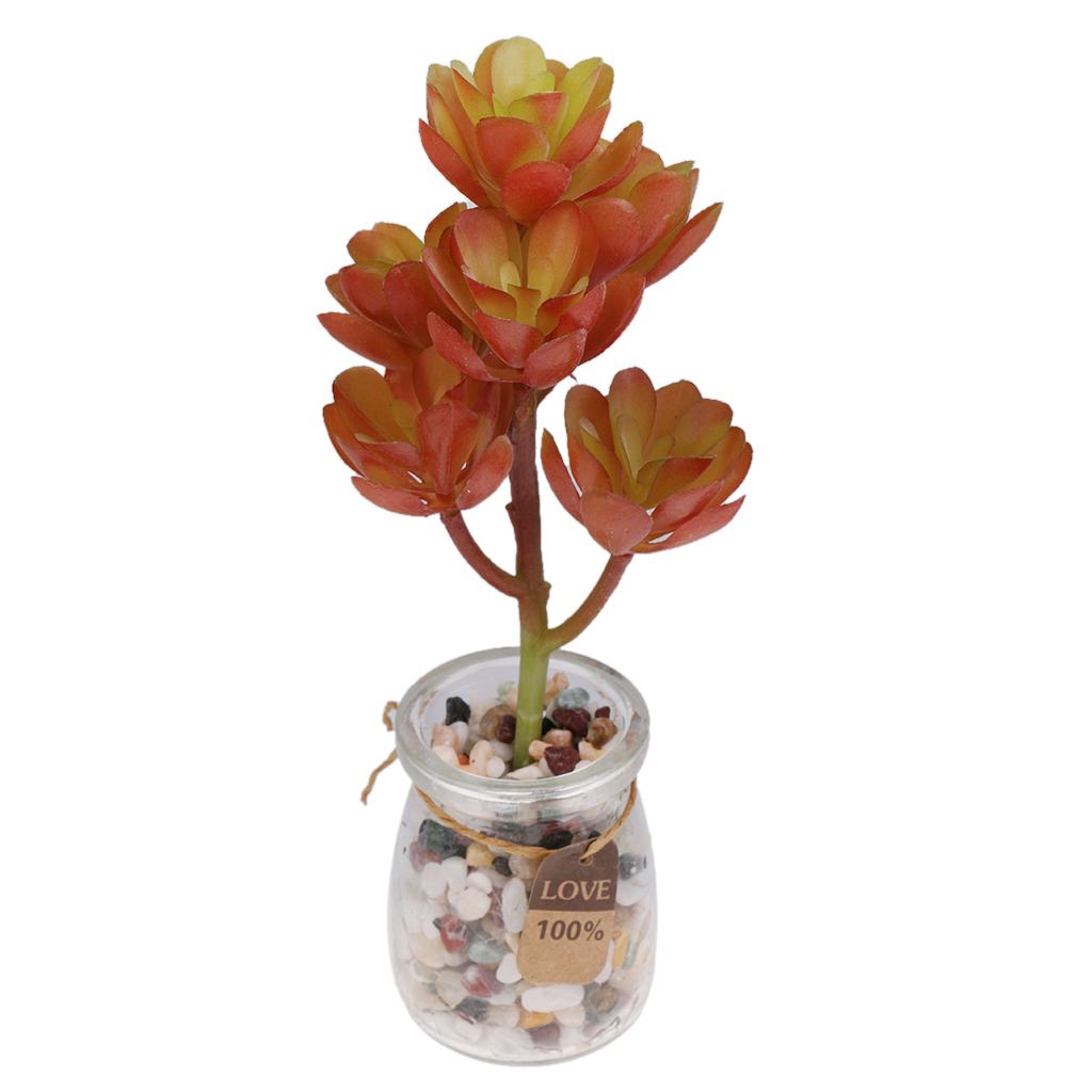 Plantes succulentes artificiel - Echeveria Succulent avis et prix