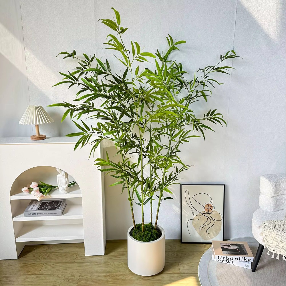 Grand Pot de sol en bambou ver - Ficus Lyrata Tree avis et prix
