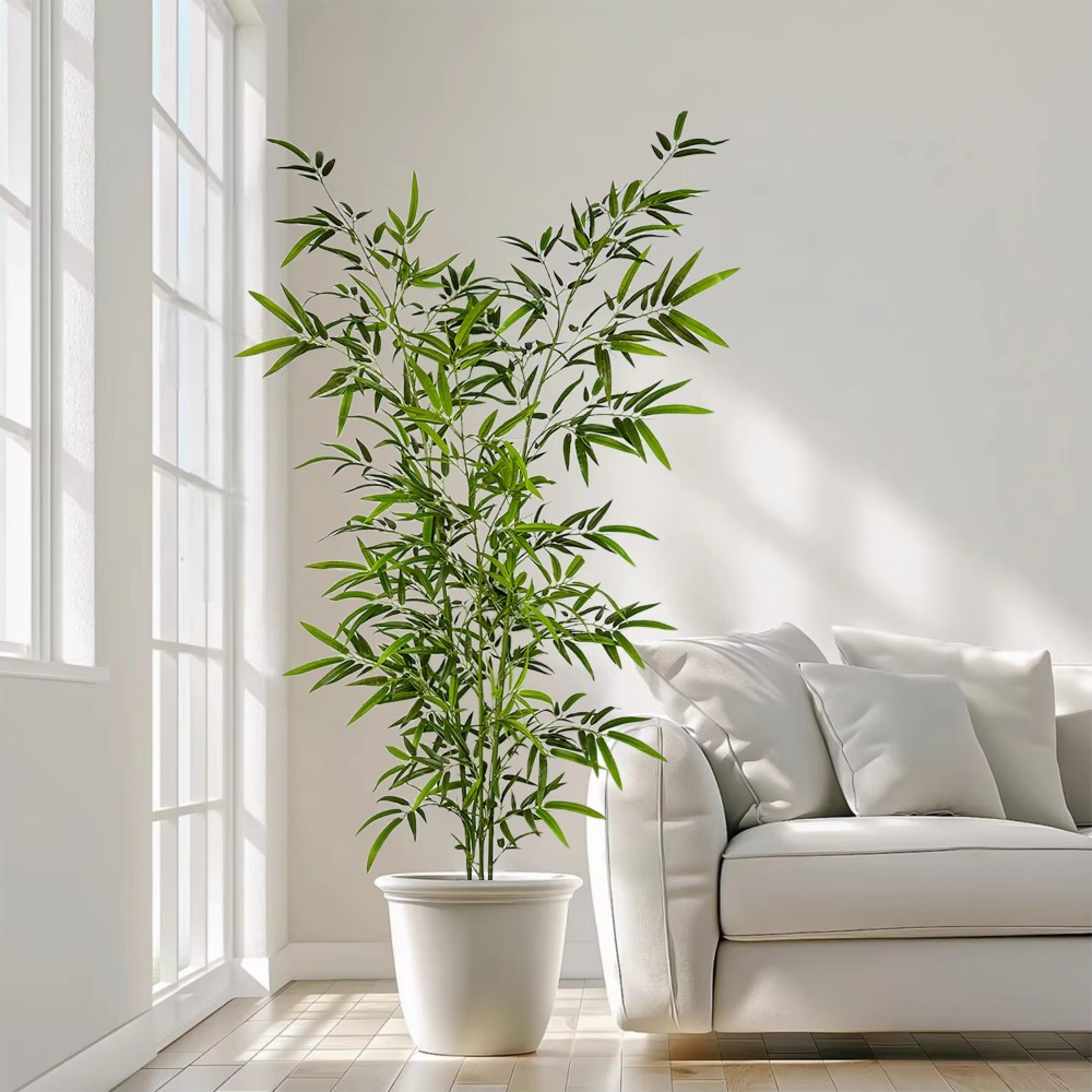Grand Pot de sol en bambou ver - Ficus Lyrata Tree avis et prix