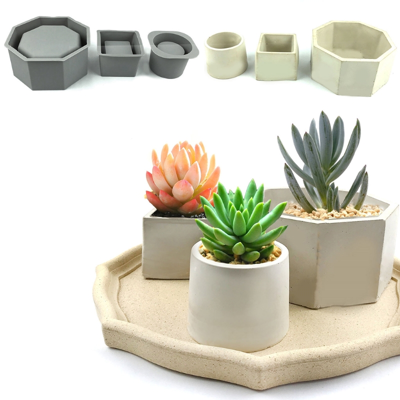 Pot de fleur de jardinière suc - Echeveria Succulent avis et prix