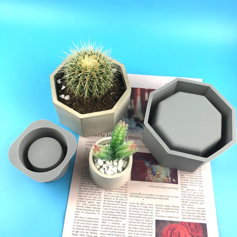 Pot de fleur de jardinière suc - Echeveria Succulent avis et prix
