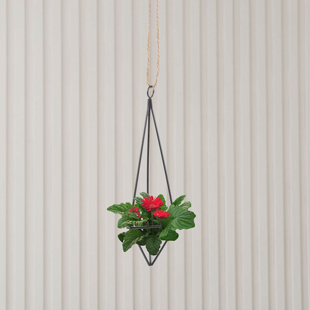 2 pièces, support métallique g - Spider Plant Hanging avis et prix