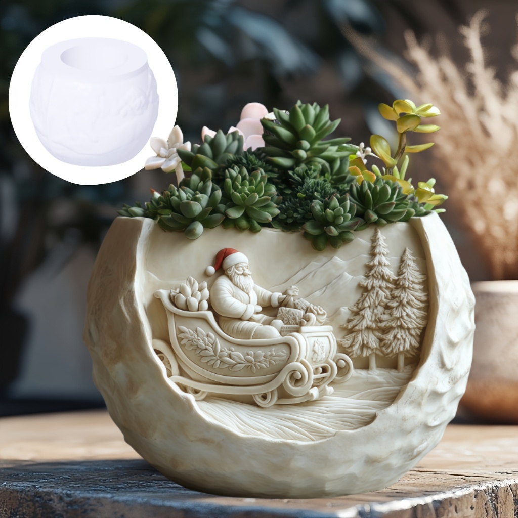 Traîneau de cèdre, tasse de bo - Echeveria Succulent avis et prix