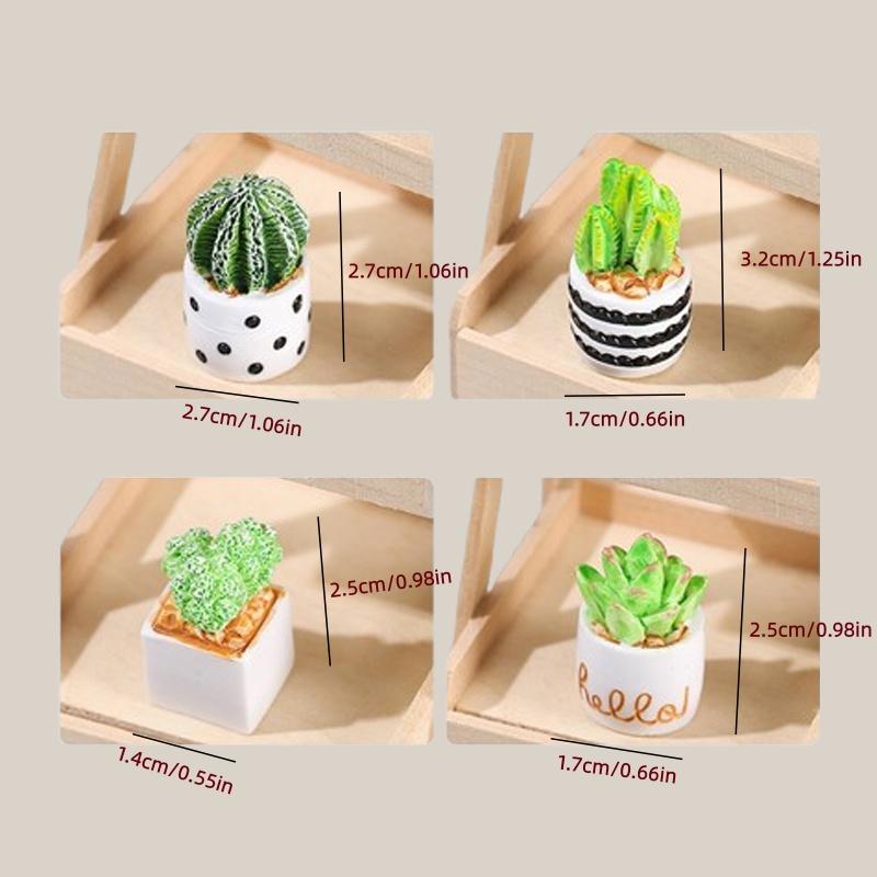 Ensemble de 4 plantes succulen - Echeveria Succulent avis et prix