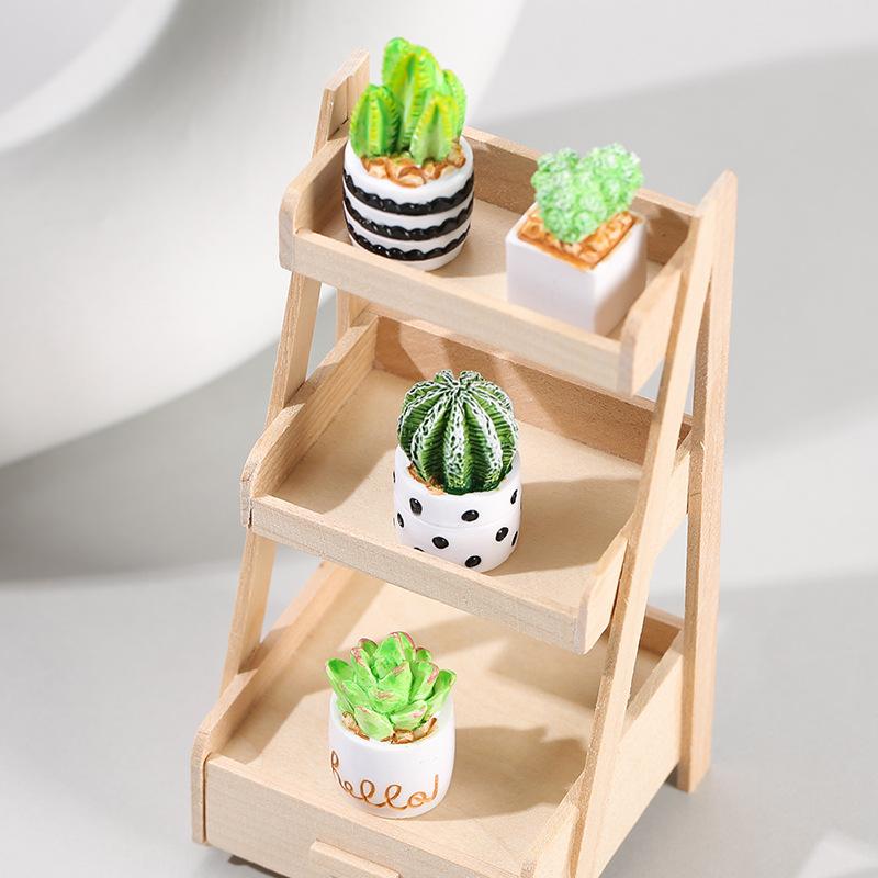 Ensemble de 4 plantes succulen - Echeveria Succulent avis et prix
