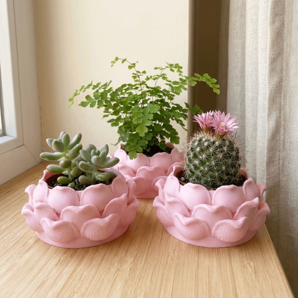 Pot de fleurs en plastique imp - Echeveria Succulent avis et prix